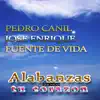 Pedro Canil, Jose Enrique & Fuente de Vida - Alabanzas que tocan tu corazón